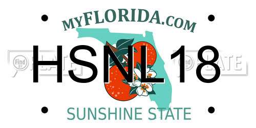 HSNL18 Florida License Plate