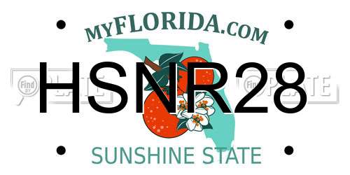 HSNR28 Florida License Plate