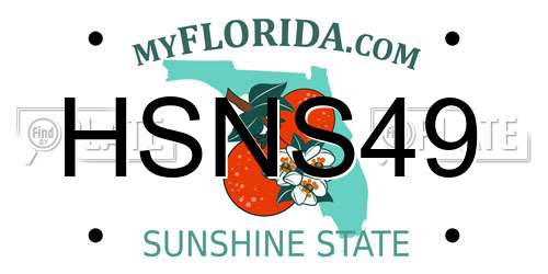 HSNS49 Florida License Plate