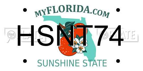 HSNT74 Florida License Plate