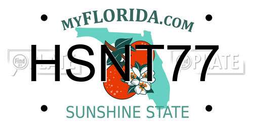 HSNT77 Florida License Plate