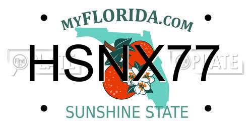 HSNX77 Florida License Plate