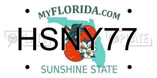 HSNY77 Florida License Plate