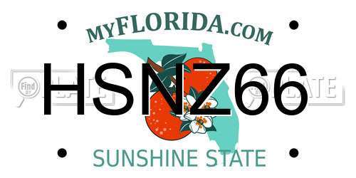 HSNZ66 Florida License Plate