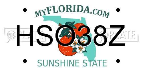 HSO38Z Florida License Plate