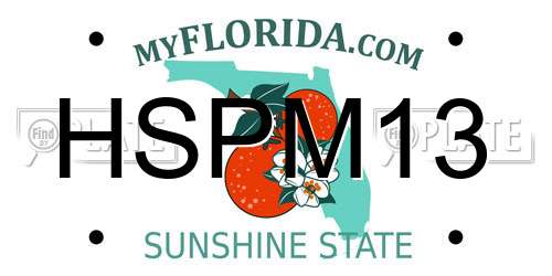 HSPM13 Florida License Plate
