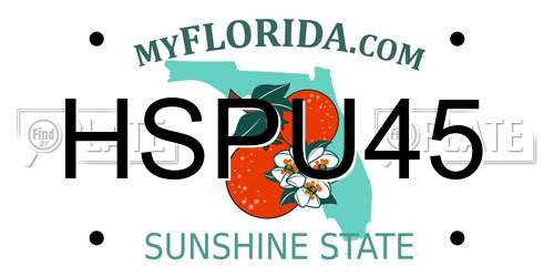 HSPU45 Florida License Plate