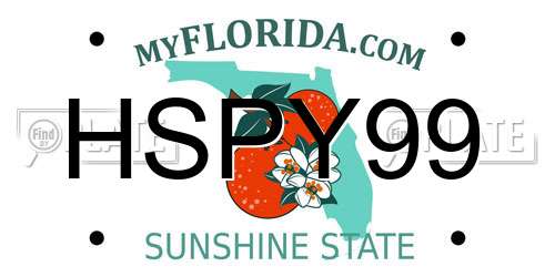 HSPY99 Florida License Plate