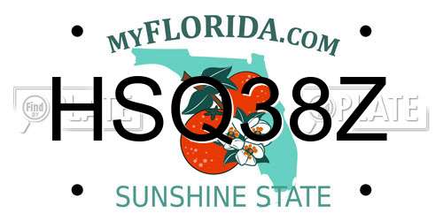 HSQ38Z Florida License Plate