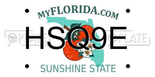 HSQ9E Florida License Plate