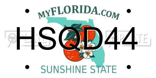 HSQD44 Florida License Plate
