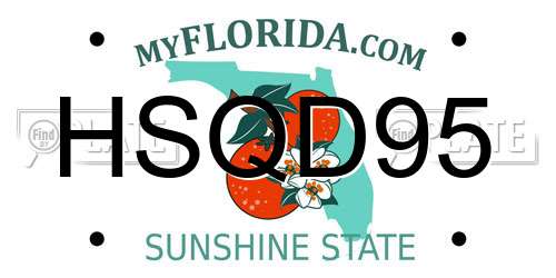 HSQD95 Florida License Plate
