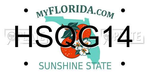 HSQG14 Florida License Plate