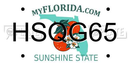 HSQG65 Florida License Plate
