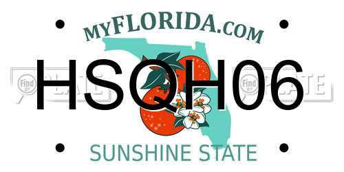 HSQH06 Florida License Plate