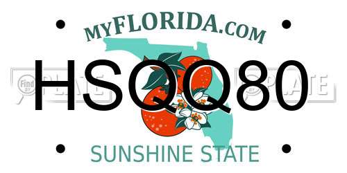HSQQ80 Florida License Plate