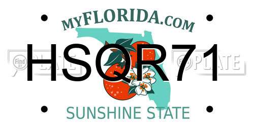 HSQR71 Florida License Plate