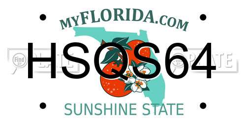HSQS64 Florida License Plate