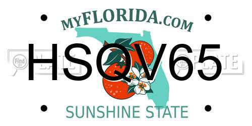 HSQV65 Florida License Plate