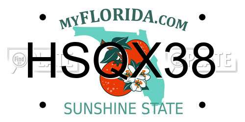 HSQX38 Florida License Plate