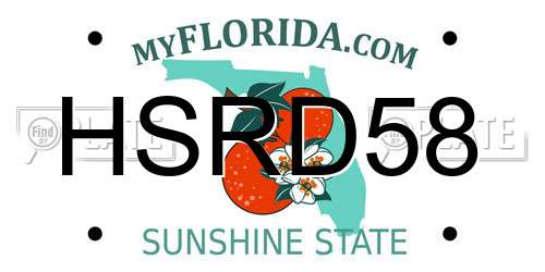HSRD58 Florida License Plate