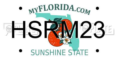 HSRM23 Florida License Plate