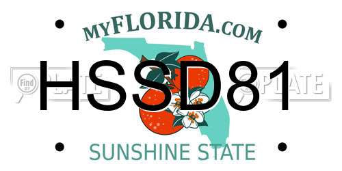 HSSD81 Florida License Plate