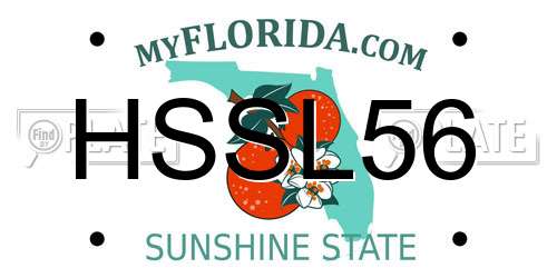 HSSL56 Florida License Plate