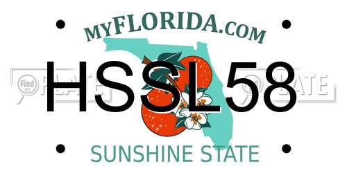HSSL58 Florida License Plate