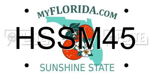 HSSM45 Florida License Plate