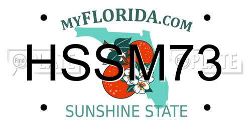 HSSM73 Florida License Plate