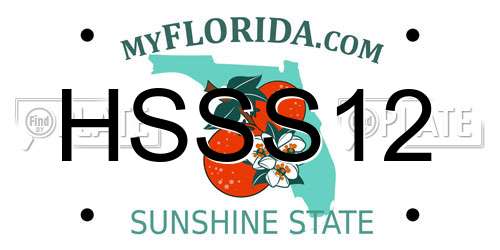 HSSS12 Florida License Plate