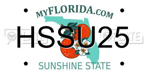 HSSU25 Florida License Plate