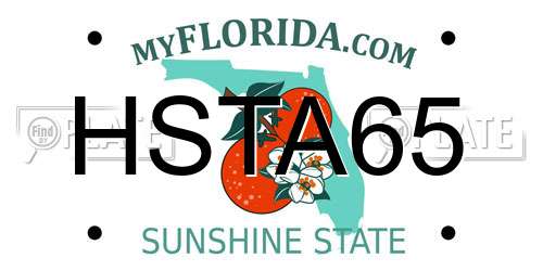 HSTA65 Florida License Plate