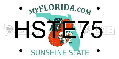 HSTE75 Florida License Plate
