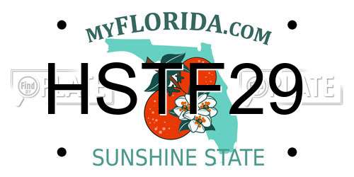 HSTF29 Florida License Plate