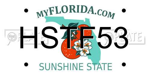 HSTF53 Florida License Plate