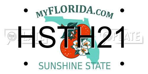 HSTH21 Florida License Plate
