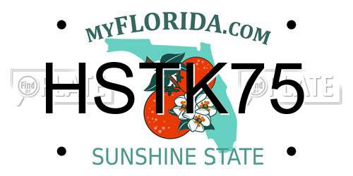HSTK75 Florida License Plate