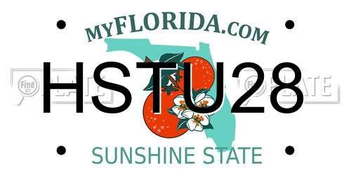 HSTU28 Florida License Plate
