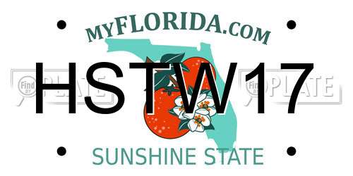HSTW17 Florida License Plate