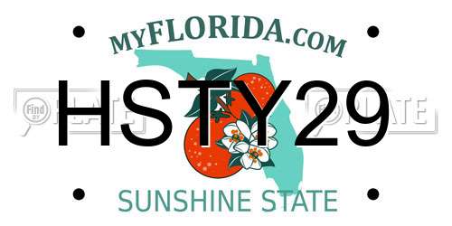 HSTY29 Florida License Plate