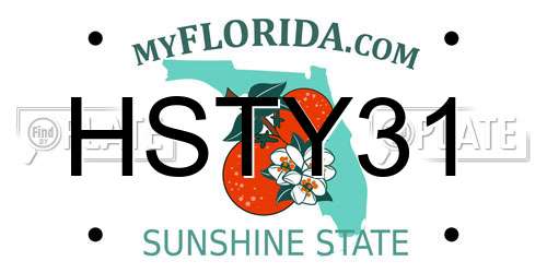 HSTY31 Florida License Plate