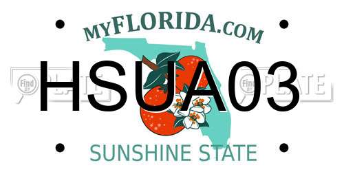 HSUA03 Florida License Plate