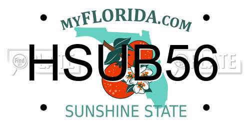 HSUB56 Florida License Plate