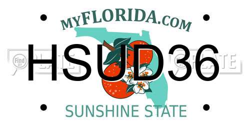 HSUD36 Florida License Plate
