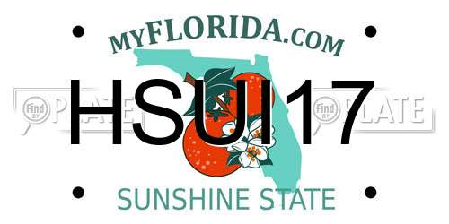 HSUI17 Florida License Plate