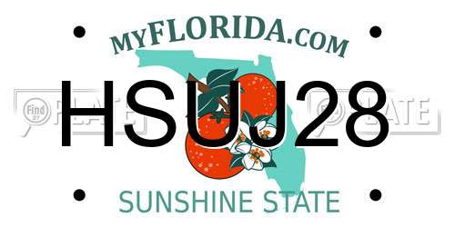 HSUJ28 Florida License Plate