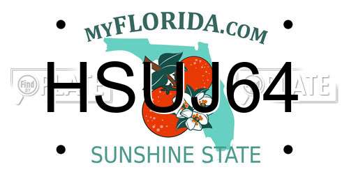 HSUJ64 Florida License Plate