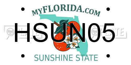 HSUN05 Florida License Plate